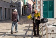 Buket mimoze u Parizu 9 eura, a u Novom?