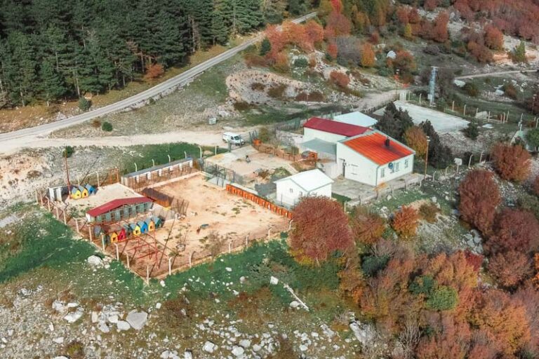 Azil na Dizdarici prebukiran, loši uslovi za boravak pasa