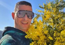 Poranile da zamirišu i zažute Dadove mimoze