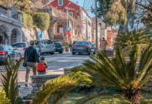 Bijela kuga i u Herceg Novom