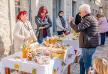 8. Mala fešta od naranče: Voćka koja inspiriše i liječi od novemba do februara
