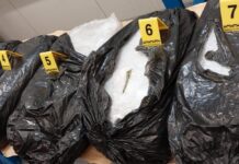 Na Debelom brijegu zaplijenjeno skoro 50 kilograma marihuane