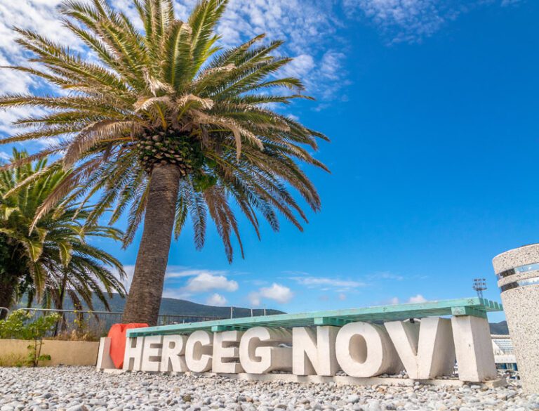 Surlaš u Novom destregao 95% palmi sa javnih površina: Građani zasadili pet, a grad tri