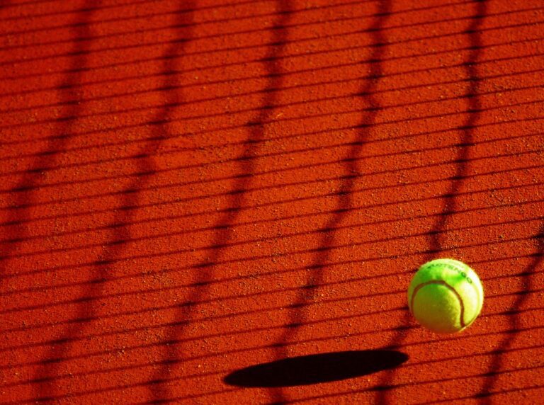 Danka ponovo napredovala na WTA listi