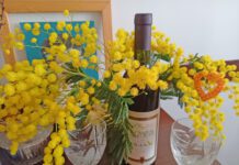 Valentinovo, Sveti Trifun, Dan zaljubljenih i Dan vina, samo da smo zdravo!