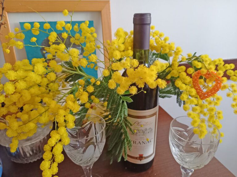 Valentinovo, Sveti Trifun, Dan zaljubljenih i Dan vina, samo da smo zdravo!
