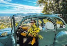 Znamo kakav je novski, ali kakav je francuski Festival mimoze?