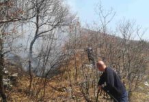 Požar na Vrbanju proširio se iz Hercegovine