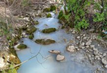 Opet ekološki incident u Mojdežu, pobijelila Presjeka