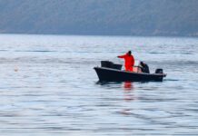 Javni poziv IPARD za podršku od 7,2 miliona eura poljoprivredi i ribarstvu