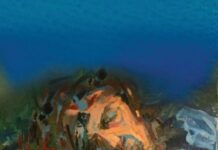 Ksenijin „Karatoč“ večeras pred podgoričkom publikom