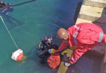 Čišćenje podmorja u akvatorijumu hercegnovskog zaliva