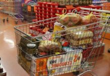 “Uskršnja humanitarna korpa” u subotu na Trgu Nikole Đurkovića