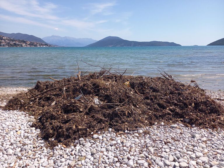 Čiste plaže od murave: Bez nje ne bi bilo ljekovitog blata
