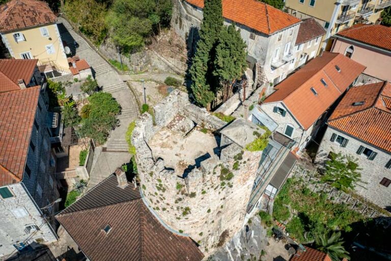 Čempres kod Potkovičaste kule posječen radi bezbjednosti