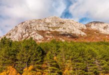 Činimo dobro za našu Planetu, izbacujmo plastiku iz upotrebe