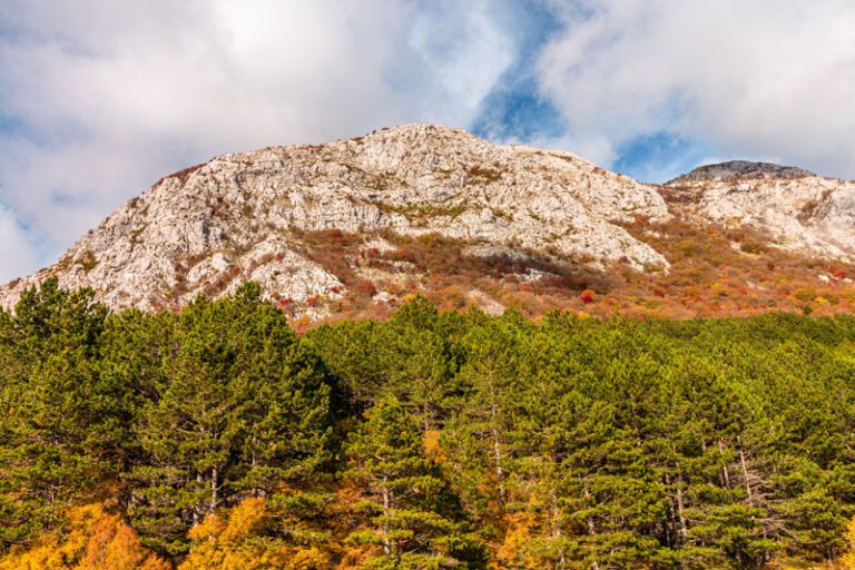 Činimo dobro za našu Planetu, izbacujmo plastiku iz upotrebe