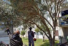 Svaki lijepi dan koristan za uređenje zelenila i javnih površina