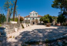 Spomenik u bronzi omiljenom načelniku Novog, Mirku Komnenoviću