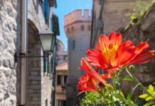 Konkurs TOHN: Đustajte đardine da nam bude lje’ša arija i vidik