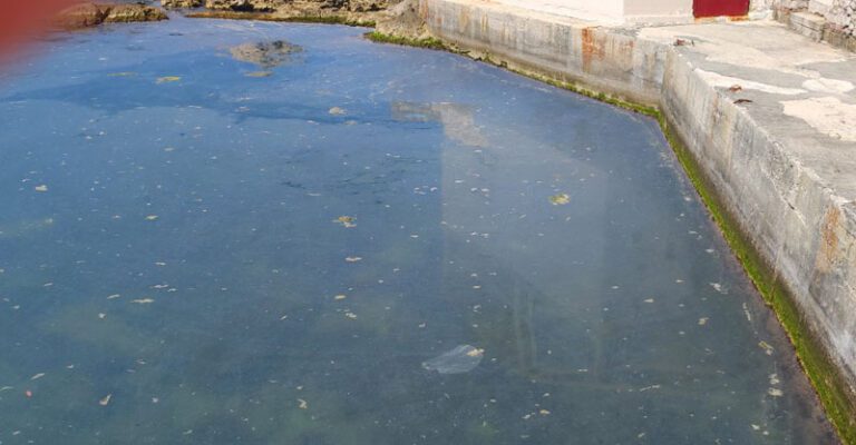 Analaza Instituta za biologiju mora: Nema zagađenja