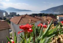 Poštovati rad i radnika, ne njegovu političku ili drugu pripadnost