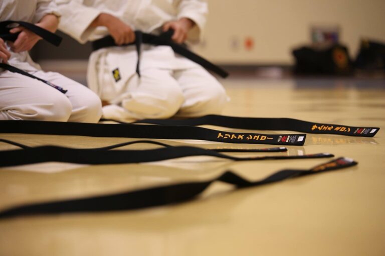 U junu VI internacionalni karate kamp u Bijeloj