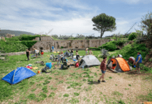 Mamula island: Od stratišta do rizorta