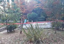 Uskoro novo igralište u Leopoldovom parku