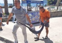 Goranova prva sabljarka ove sezone od 45 kilograma