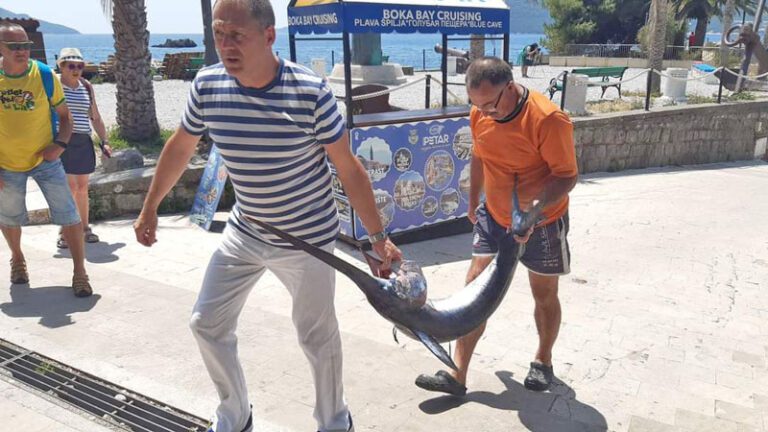 Goranova prva sabljarka ove sezone od 45 kilograma