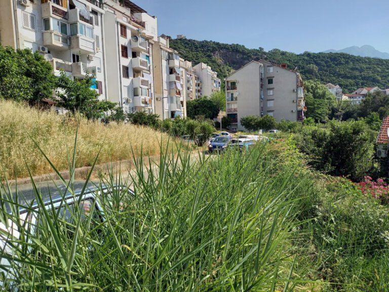 Zašto su stambene zgrade opkoljene nepokošenom travom i rastinjem