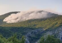Požar se razbuktao ka Bjelskim Kruševicama i Bunovićima