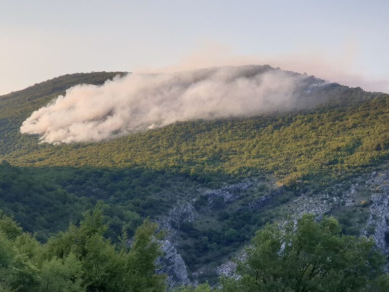 Dragocjena pomoć iz vazduha spriječila širenje požara ka Kotoru