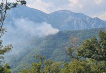 Grom izazvao požar iznad Zelenike