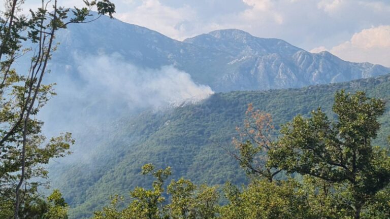 Grom izazvao požar iznad Zelenike