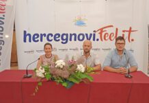 Nova manifestacija u Novom “Open Air Cinema”: Trideset filmova na raznim lokacijama