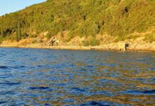 Nema više deponije otpada i pijeska na obali Rosa