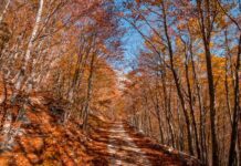 Foto: Orjen plijeni bojama jeseni orjen jesen