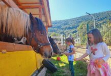 Na Žvinjama uživanje za male i velike: Jahanje konja, razgledanje životinja, divna priroda…