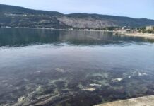 Zagađenje mora zbog kvarova na kolektoru, ali i tzv. havarijskih ispusta