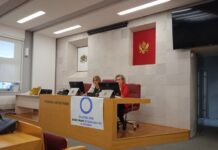 Dr Nataša Radović: Epidemija nezarazne bolesti, dijabetesa natasa radovic