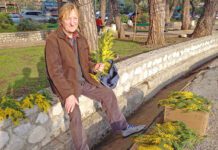 Stručak mimoze u Igalu 1 euro