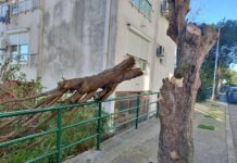 Nakon olujnog vjetra najviše polomljenog drveća, zapalila se dva dimnjaka