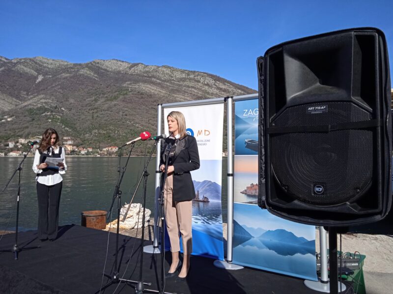 ana novakovic djurovic