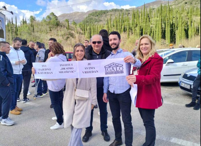 NVO Epiks nermin lukovic