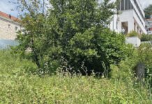 Etažni vlasnici negoduju zbog Odluke da sami kose javne površine oko zgrada