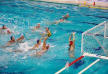 Počinje Liga šampiona, Jadran gostuje Ferencvarošu