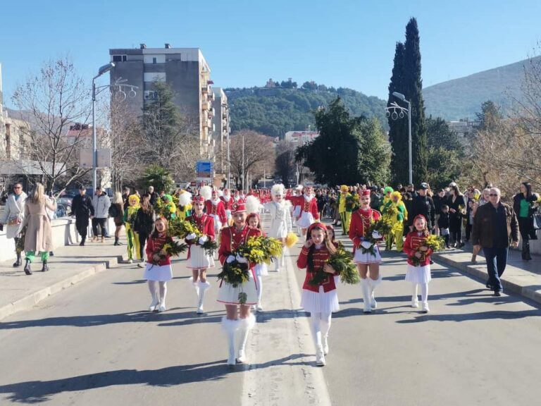 Mimoza trebinje