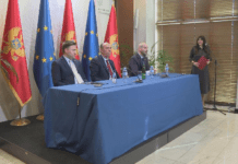 Dr Pavićević: Ulaznica za spašavanje Instituta deset miliona